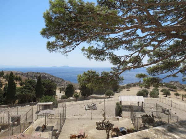 Монастырь Превели зоопарк